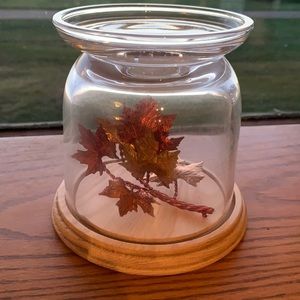 Bath and body fall/leaves glass candle holder
